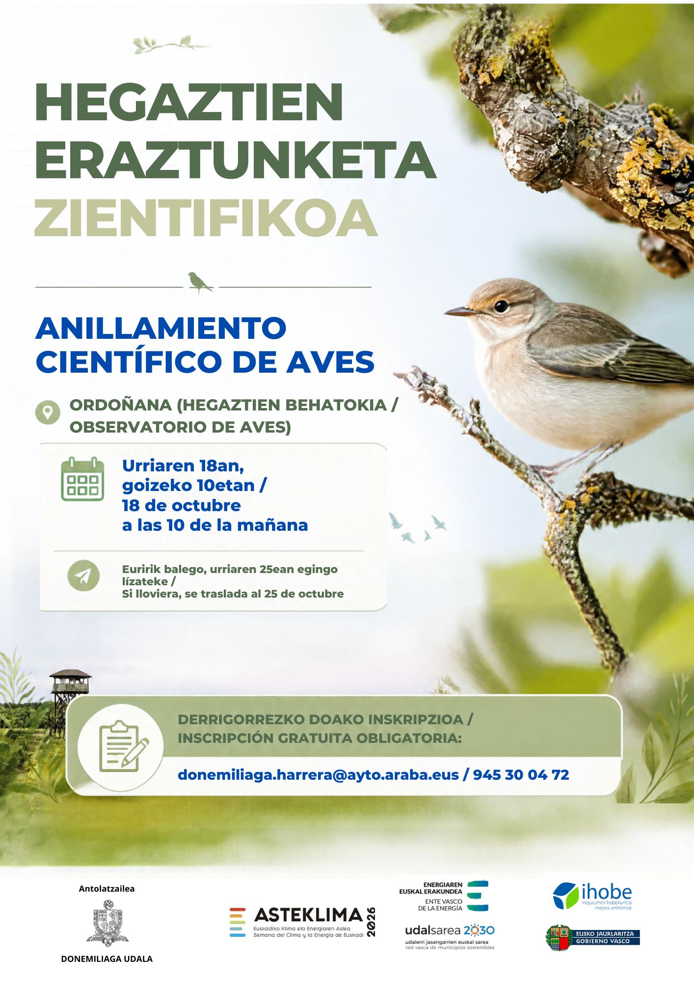 PÁJAROS