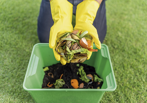Compost