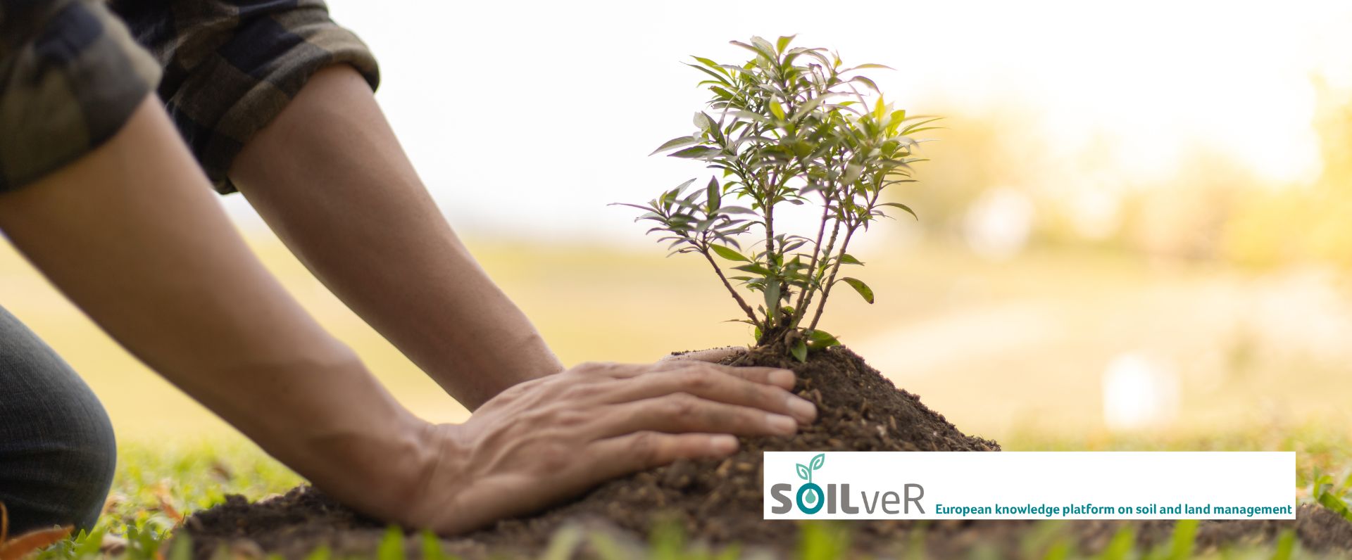 Ihobe se integra en la plataforma europea SOILveR de conocimiento en gestión sostenible del suelo 