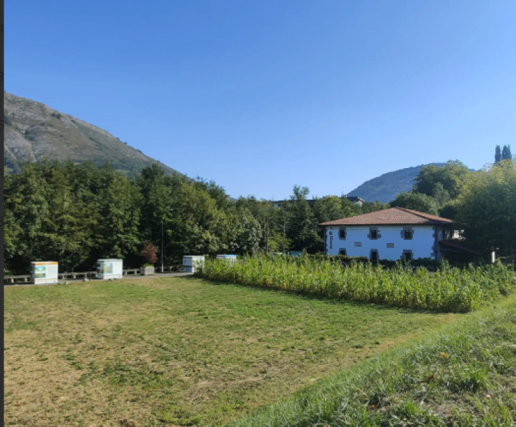 basoa