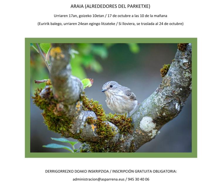 aves