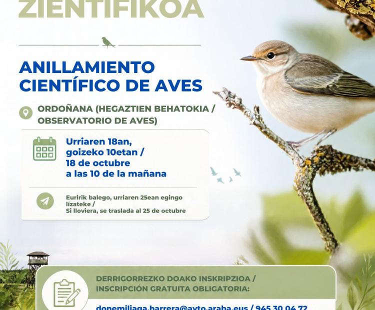 PÁJAROS