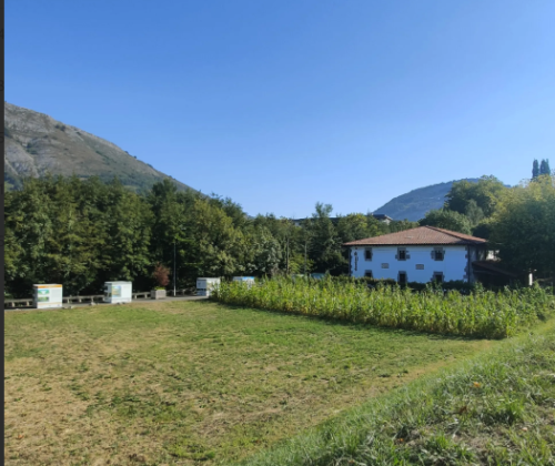 basoa