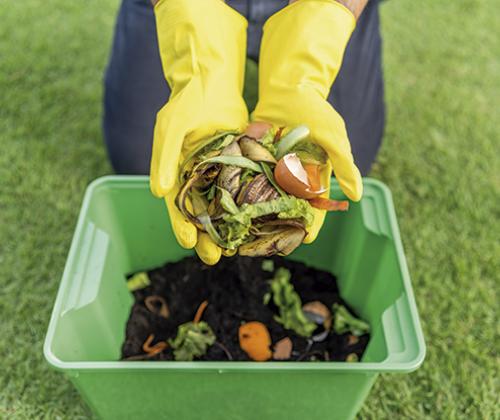 Compost