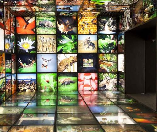 Ihobe renovará la exposición permanente de Ekoetxea Urdaibai mediante concurso público