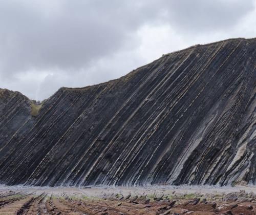 El Gobierno Vasco impulsa la conservación del patrimonio natural mediante nuevas subvenciones para proyectos de investigación en 2024