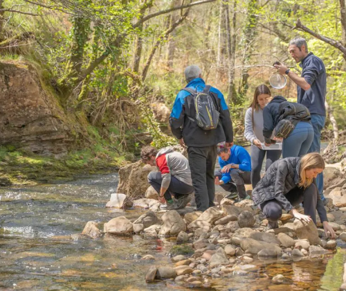 La Red Ekoetxea celebra el Día Mundial del Agua 2026 con numerosas actividades 