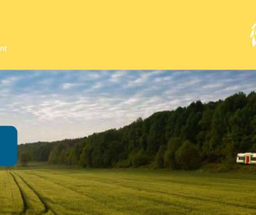 Euskadi, reconocida por Naciones Unidas como referente internacional en resiliencia climática e innovación ambiental