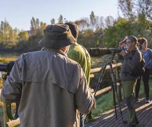 Entidades expertas en dinámica costera visitan Txingudi para conocer la futura intervención en la laguna de San Lorenzo