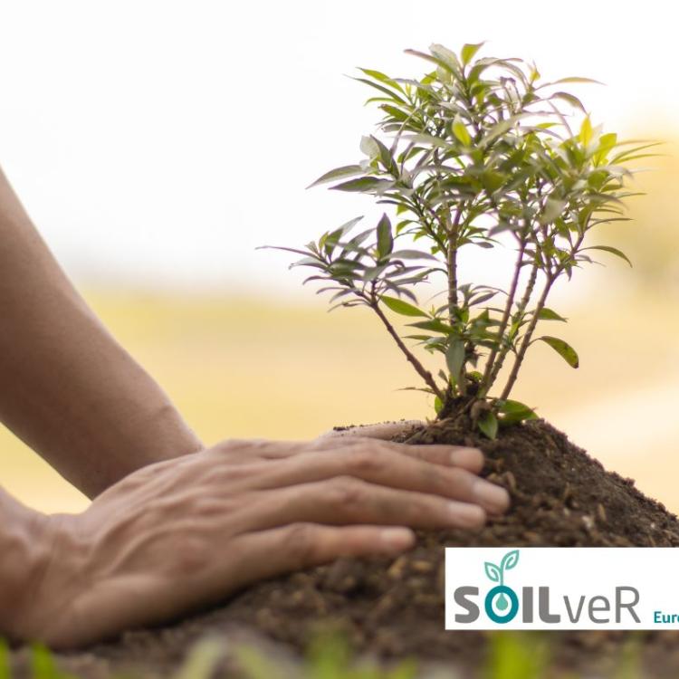 Ihobe se integra en la plataforma europea SOILveR de conocimiento en gestión sostenible del suelo 