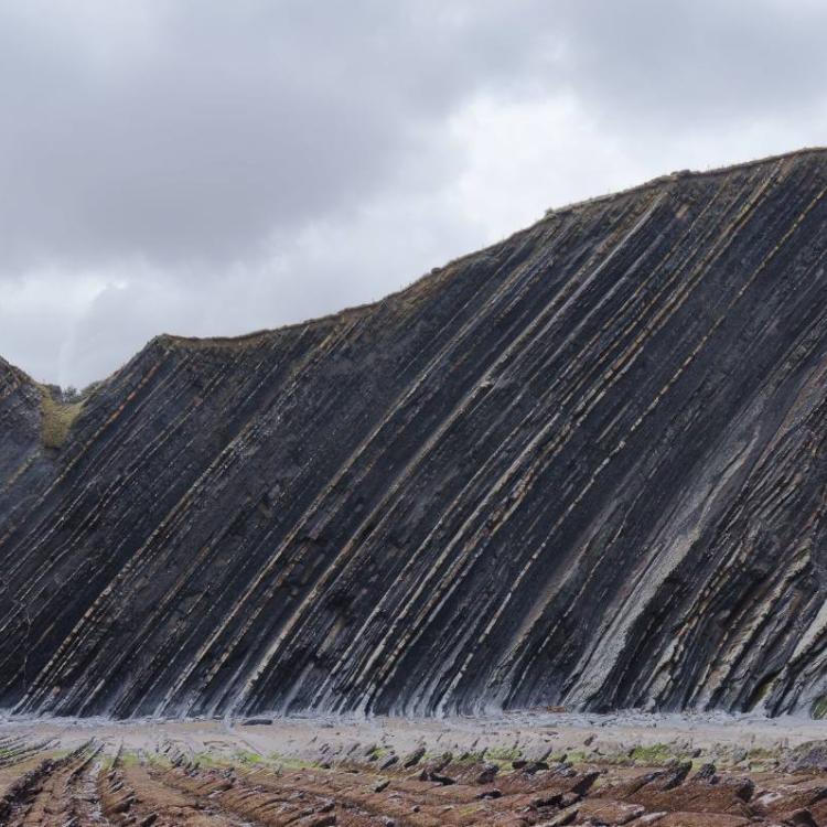 El Gobierno Vasco impulsa la conservación del patrimonio natural mediante nuevas subvenciones para proyectos de investigación en 2024