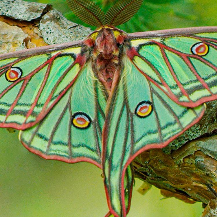 El documental “Natura bizia”, galardonado con el premio de comunicación ambiental en los Premios Periodismo Vasco 2025