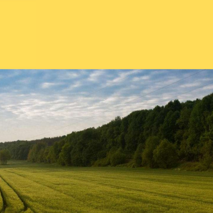 Euskadi, reconocida por Naciones Unidas como referente internacional en resiliencia climática e innovación ambiental