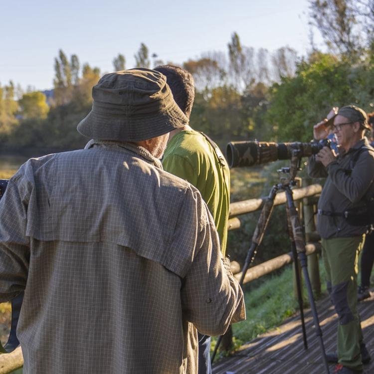 Entidades expertas en dinámica costera visitan Txingudi para conocer la futura intervención en la laguna de San Lorenzo