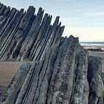 D_7-150x150